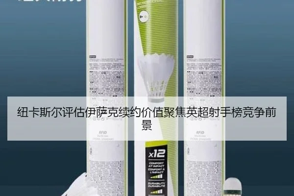 纽卡斯尔评估伊萨克续约价值聚焦英超射手榜竞争前景