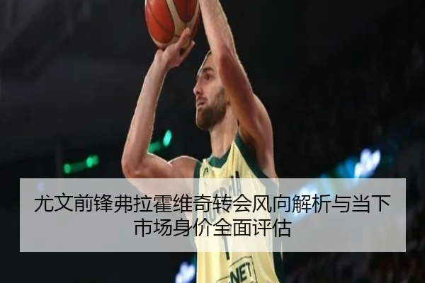 尤文前锋弗拉霍维奇转会风向解析与当下市场身价全面评估
